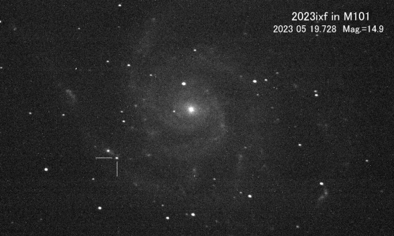 M101風車星系的超新星的發現照片