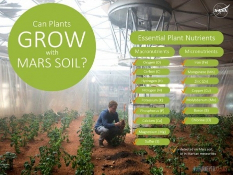 火星土壤含有植物生長所需的營養物質