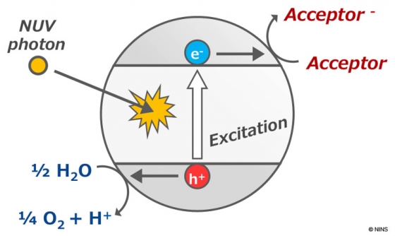 二氧化鈦的光催化反應