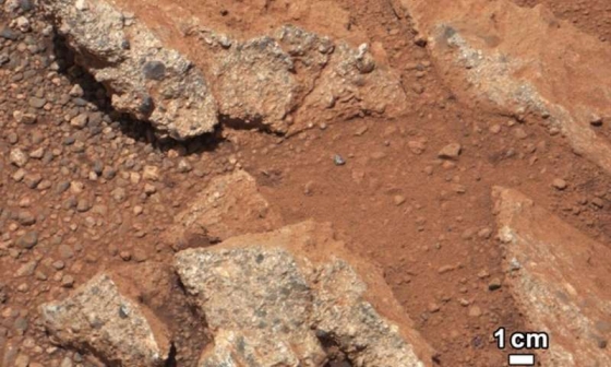 火星上的鵝卵石