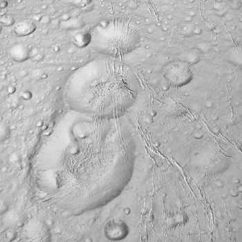 土衛二北極照片