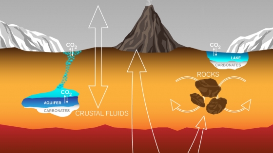 火星上的碳交換和散失過程