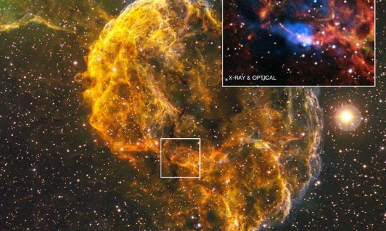 IC 443 水母星雲