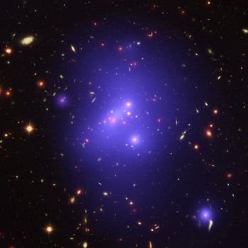 IDCS J1426.5+3508 星系團