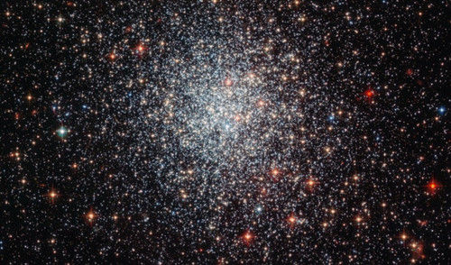 大麥哲倫星雲中NGC 1783星團照片