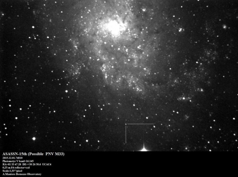 ASASSN-151h 超新星照片