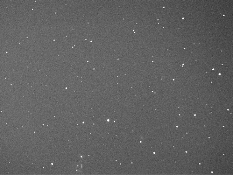 坪井正紀拍攝的超新星發現照片