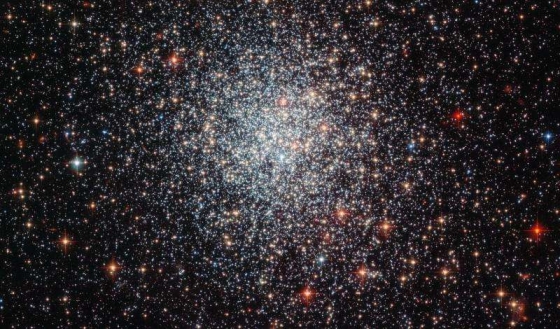 NGC 1743 星團的恆星有十五億歳