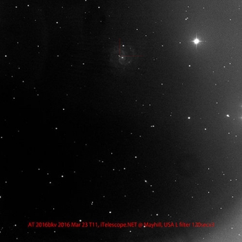 由清田誠一拍攝的大熊座超新星確認照片