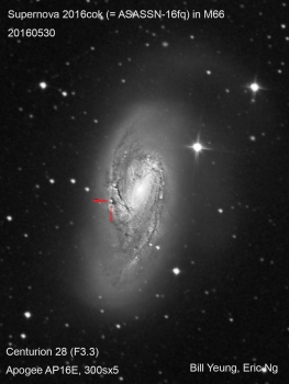 M66星系2016cok超新星