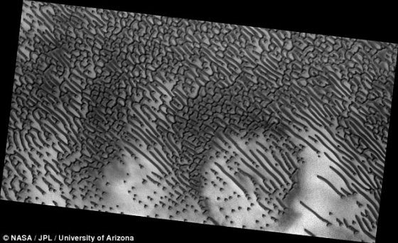 火星北極冠南面哈高沙丘照片