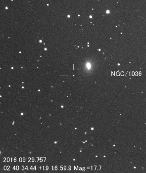 板垣公一拍攝的白羊座超新星發現照片