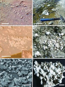 火星上的蛋白石(左)與地球上的層疊石(右)對比