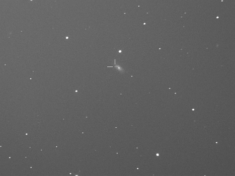 坪井正紀拍攝的后髮座座超新星發現照片