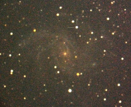 仙王座NGC 6946星系的超新星