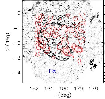 超新星遺跡S147成協的塵埃雲分佈